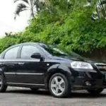 Black sedan parked on a street with green bushes and a brick wall in the background, under overcast skies.
