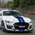 White Ford Mustang Shelby GT500 with blue racing stripes driving on a street, personalized license plate reads RIDER.