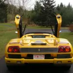 Rear view of a yellow sports car with upward-opening gull-wing doors, parked on a paved path in a park; Massachusetts license plate 35W T94 visible.