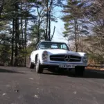 White vintage Mercedes on a paved driveway, surrounded by tall trees and a clear blue sky behind it.