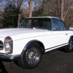 White vintage car parked outdoors among bare trees, showing the front and passenger side.